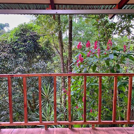 Princesa De La Luna Ecolodge La Fortuna Esterno foto