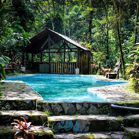 Princesa De La Luna Ecolodge La Fortuna Esterno foto