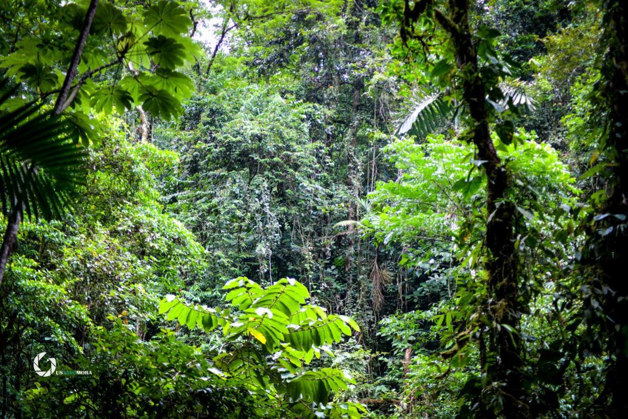 Princesa De La Luna Ecolodge La Fortuna Esterno foto