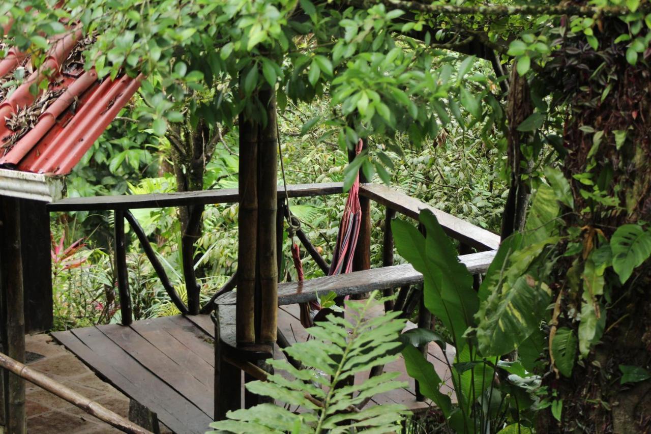 Princesa De La Luna Ecolodge La Fortuna Esterno foto