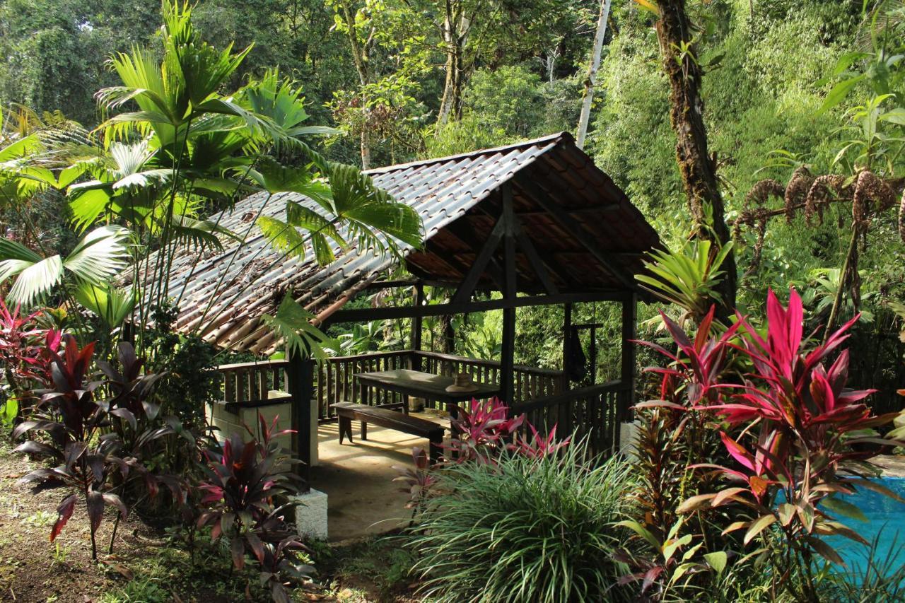 Princesa De La Luna Ecolodge La Fortuna Esterno foto