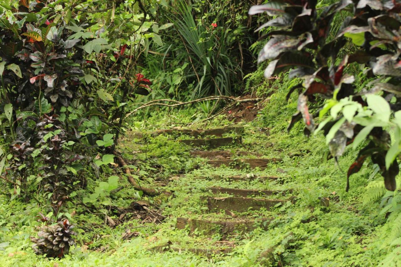 Princesa De La Luna Ecolodge La Fortuna Esterno foto