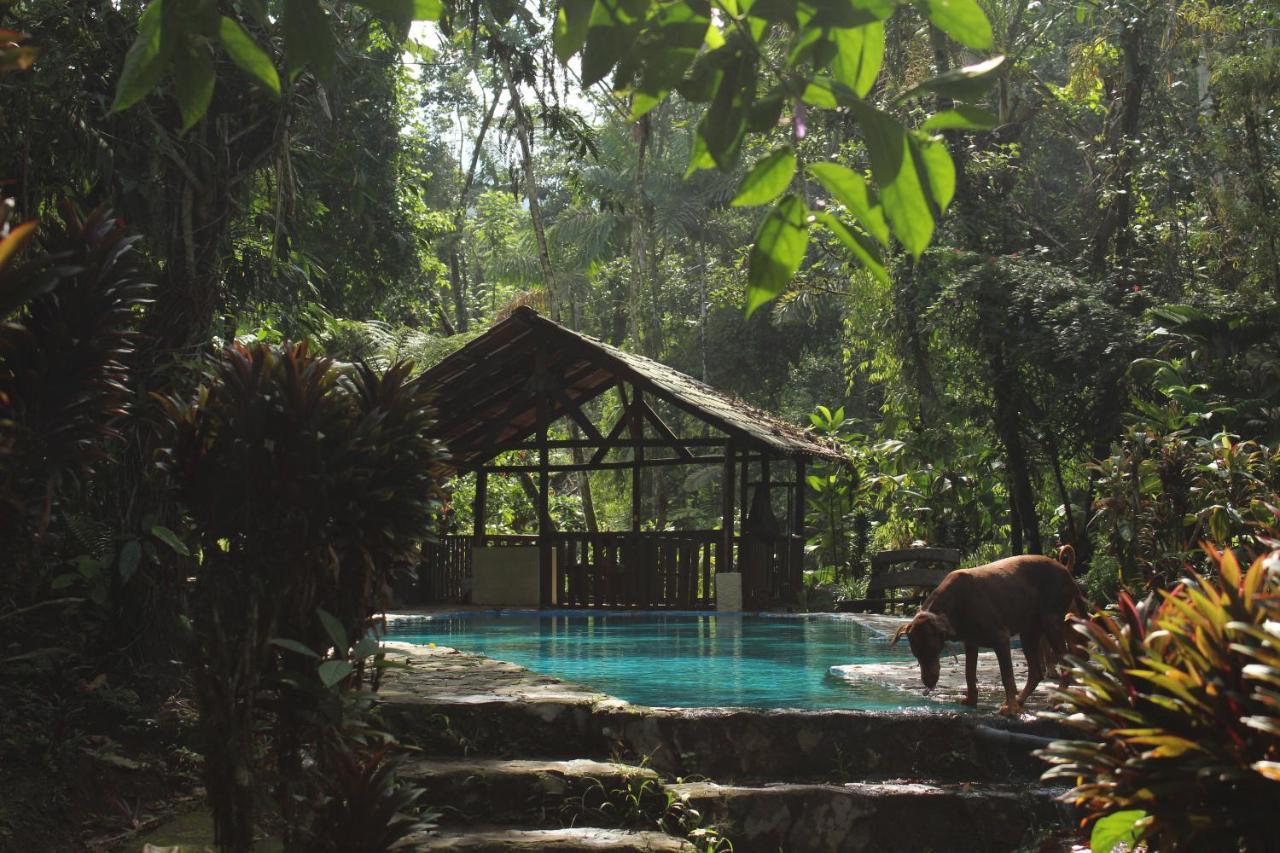 Princesa De La Luna Ecolodge La Fortuna Esterno foto