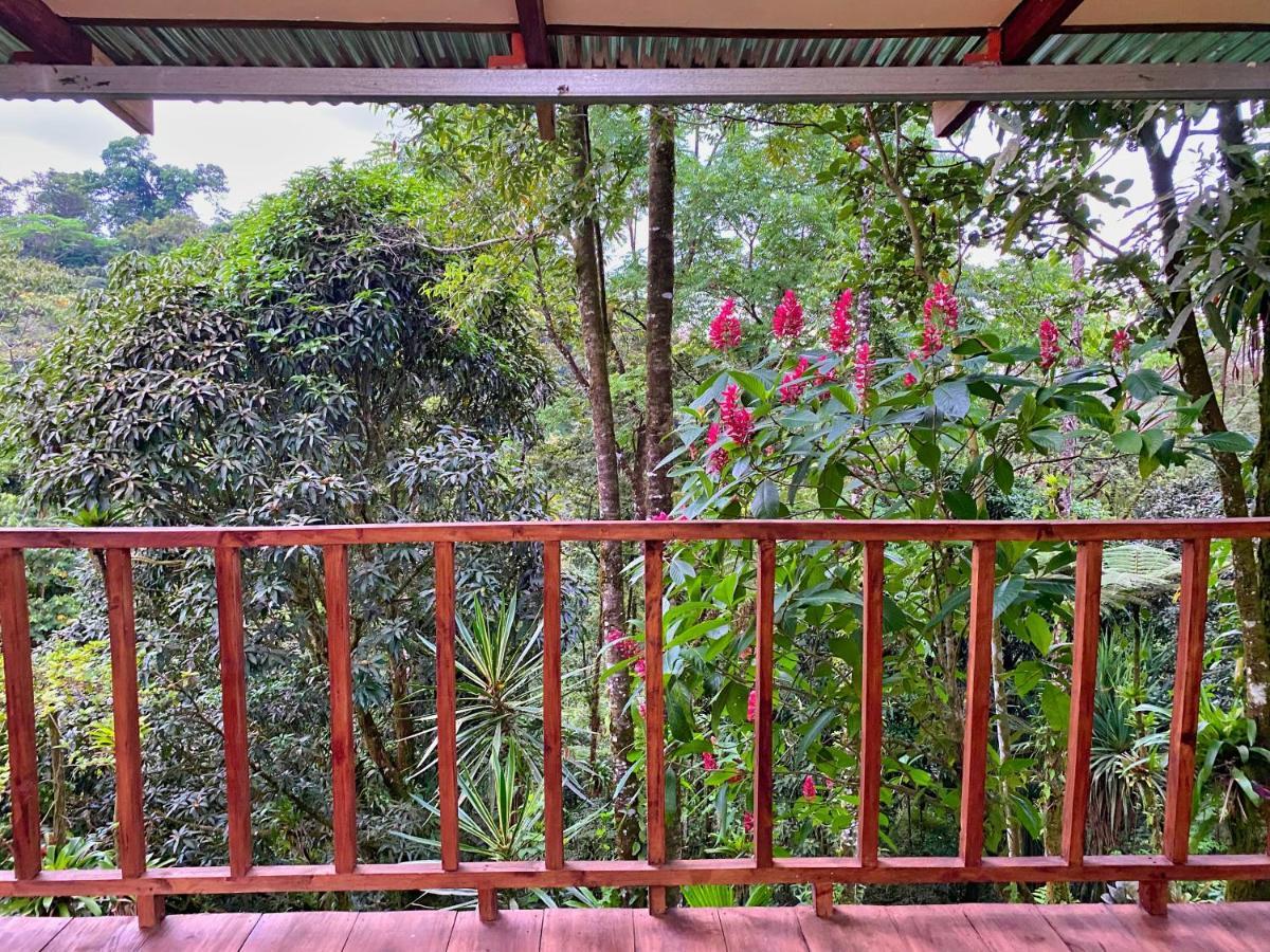 Princesa De La Luna Ecolodge La Fortuna Esterno foto