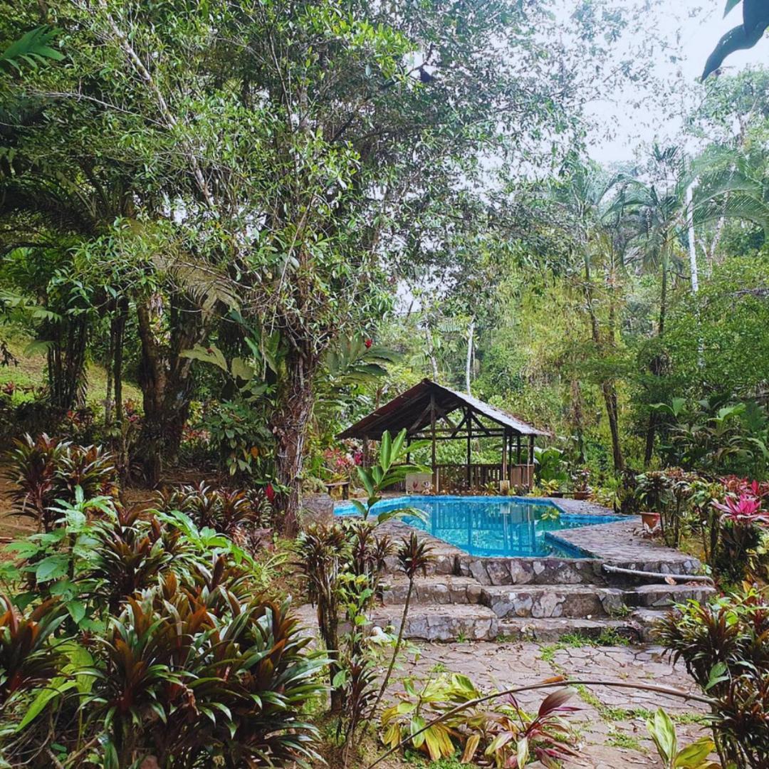 Princesa De La Luna Ecolodge La Fortuna Esterno foto