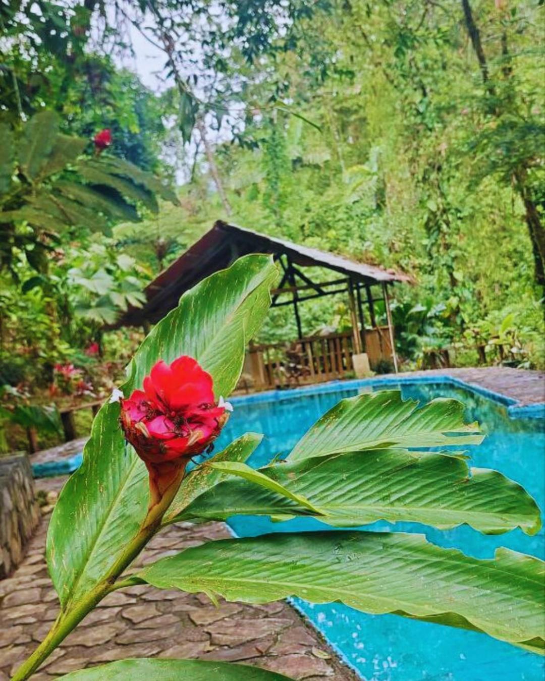 Princesa De La Luna Ecolodge La Fortuna Esterno foto