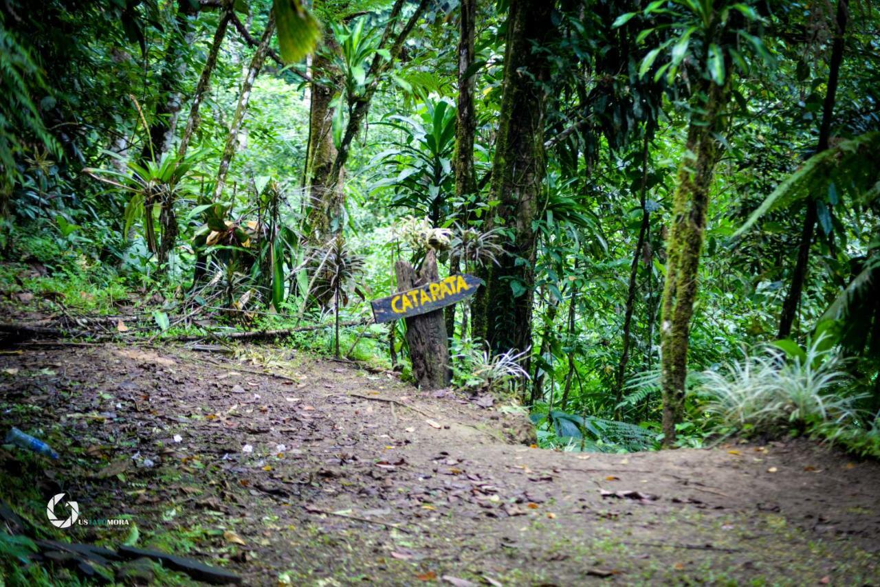 Princesa De La Luna Ecolodge La Fortuna Esterno foto