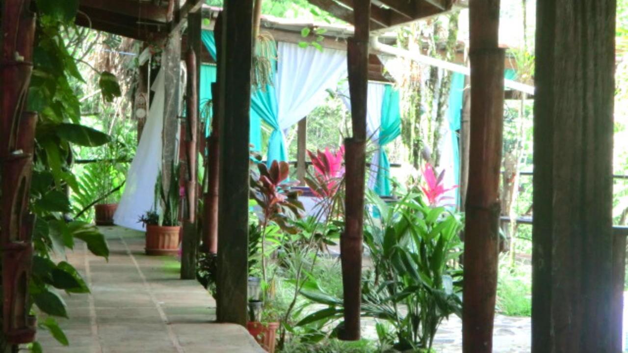 Princesa De La Luna Ecolodge La Fortuna Esterno foto